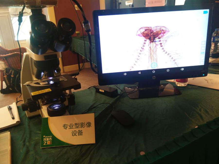 5_104224_1 中国4688美高梅集团(股份)有限公司-官方网站
